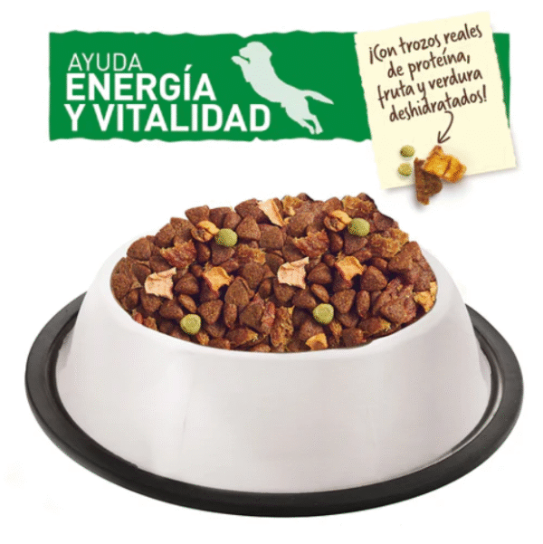 Nutriss al Natural Adultos Pollo Real con Vegetales | Concentrado Premium para Perros Adultos • Discontegral Ibagué y Tolima - Imagen 2