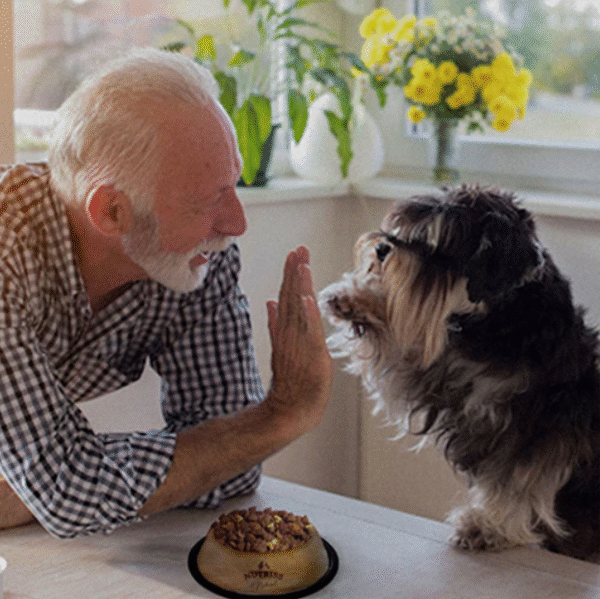 Nutriss al Natural Senior | Concentrado para Perros Mayores con Taurina, Glucosamina y Antioxidantes • Discontegral Ibagué y Tolima - Imagen 3