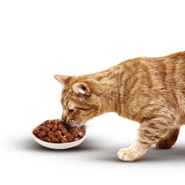 Nutriss Gatos Trocitos en Salsa sabor a Salmón 85g | Alimento Húmedo para Gatos Adultos – Digestión Saludable, Energía e Hidratación - Imagen 2