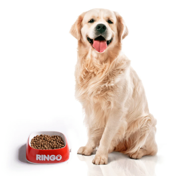 Ringo Original Adultos | Concentrado para Perros Balanceado • Discontegral Ibagué y Tolima - Imagen 2