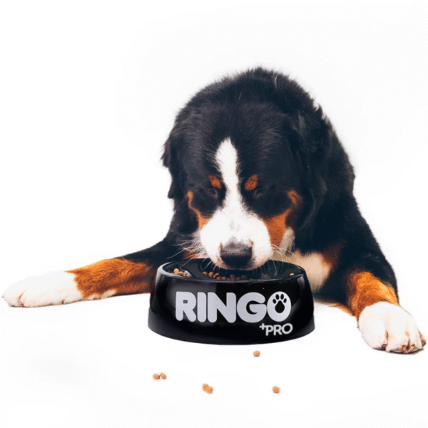 Ringo +PRO Adultos | Concentrado Premium para Perros • Discontegral Ibagué y Tolima - Imagen 2