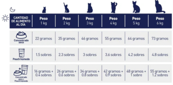 Nutriss Gatos Trocitos en Salsa sabor a Pollo 85g | Alimento Húmedo para Gatos Adultos – Digestión Saludable, Energía e Hidratación - Imagen 4