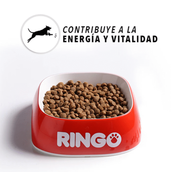 Ringo Original Adultos | Concentrado para Perros Balanceado • Discontegral Ibagué y Tolima - Imagen 3