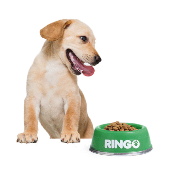 Ringo Original Cachorros | Concentrado para Perros en Crecimiento • Discontegral Ibagué y Tolima - Imagen 3
