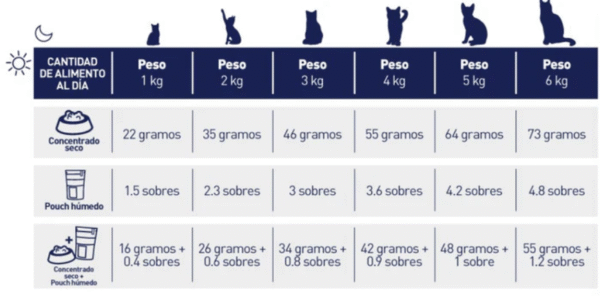 Nutriss Gatos Trocitos en Salsa sabor a Salmón 85g | Alimento Húmedo para Gatos Adultos – Digestión Saludable, Energía e Hidratación - Imagen 4