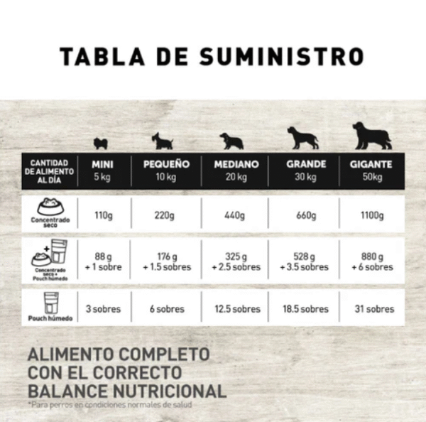 Nutriss Trocitos en Salsa sabor a Carne 100g | Alimento Húmedo para Perros Adultos – Digestión Saludable e Hidratación - Imagen 4
