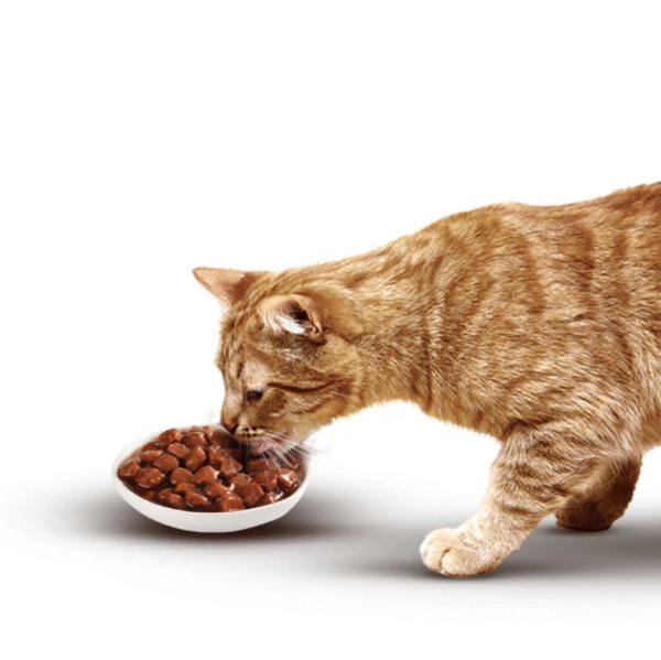 Nutriss Gatos Trocitos en Salsa sabor a Pollo 85g | Alimento Húmedo para Gatos Adultos – Digestión Saludable, Energía e Hidratación - Imagen 3