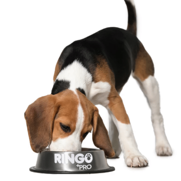 Ringo +PRO Cachorros | Concentrado Premium para Perros en Crecimiento • Discontegral Ibagué y Tolima - Imagen 3