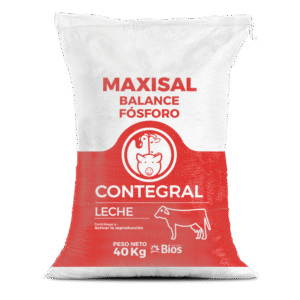 Sal Mineralizada Maxisal Balance Fósforo Leche Harina 40kg | Sales Mineralizadas para Bovinos • Contegral Ibagué y Tolima