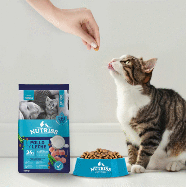 Nutriss Gaticos Pollo y Leche | Gatitos con DHA, taurina y Omega 3-6 • Discontegral Ibagué y Tolima - Imagen 2
