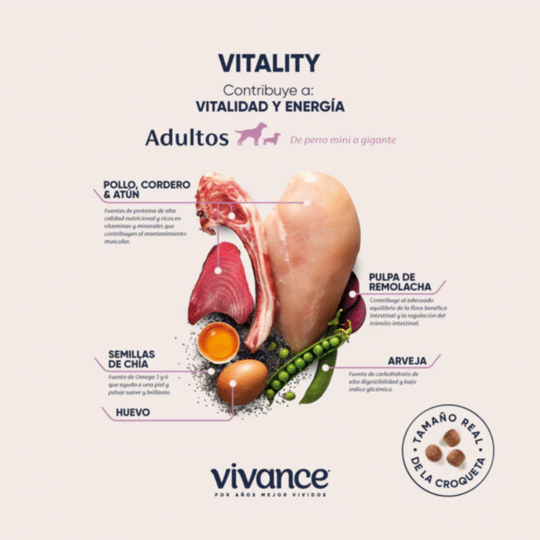 Vivance Vitality Adultos | Libre de granos, probióticos y Omega 3-6 • Discontegral Ibagué y Tolima - Imagen 2