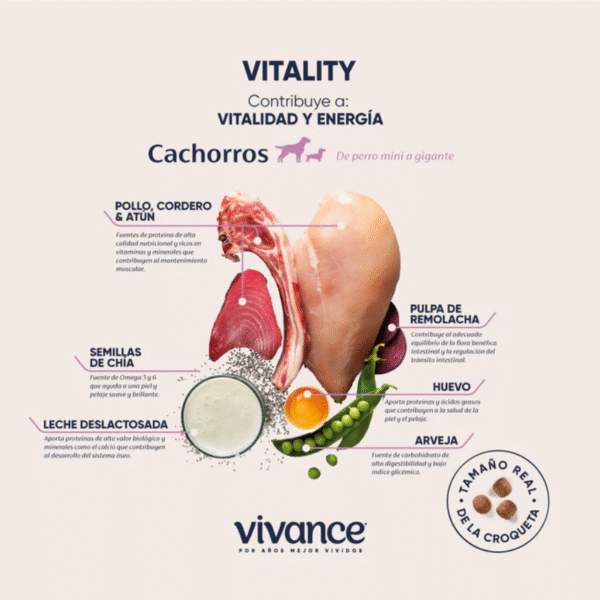Vivance Vitality Cachorros | Libre de granos, DHA y probióticos • Discontegral Ibagué y Tolima - Imagen 2