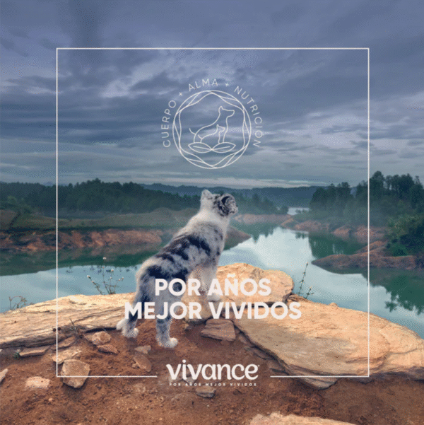 Vivance Vitality Cachorros | Libre de granos, DHA y probióticos • Discontegral Ibagué y Tolima - Imagen 3