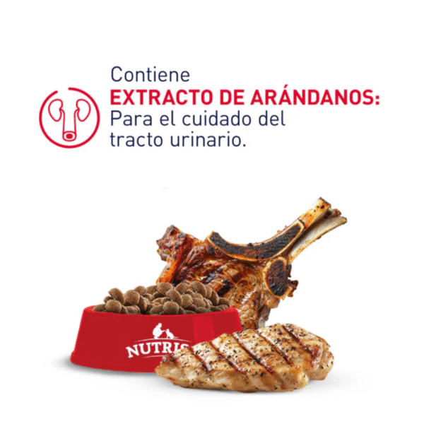 Nutriss Gatos Adultos Cordero y Pollo | Control de bolas de pelo, taurina y omega 3-6 • Discontegral Ibagué y Tolima - Imagen 3
