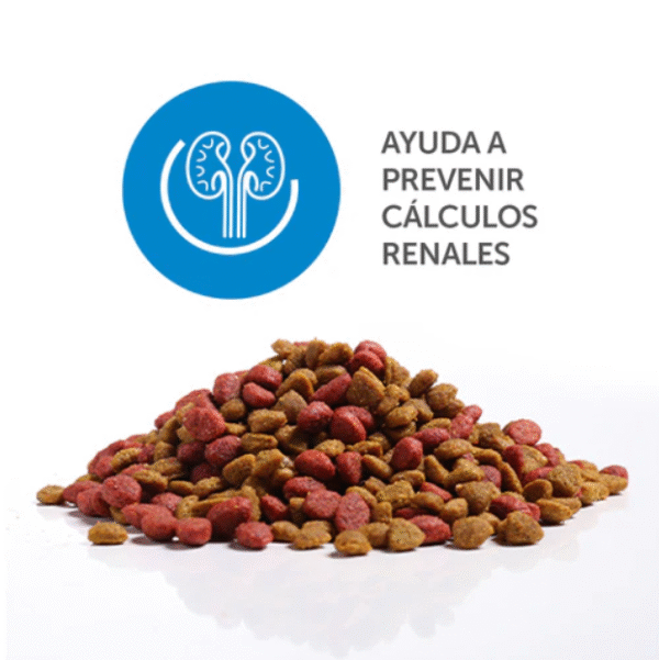 Mirringo Original Adultos | Concentrado para Gatos – Alta Proteína, Taurina y Nutrientes Esenciales - Imagen 2