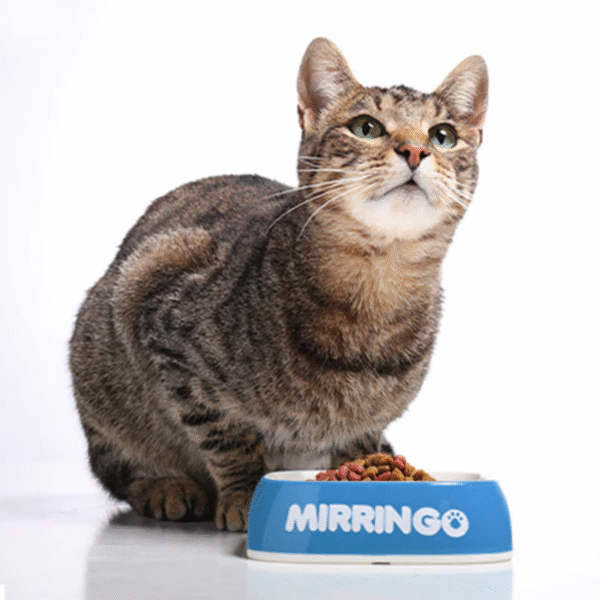 Mirringo Original Adultos | Concentrado para Gatos – Alta Proteína, Taurina y Nutrientes Esenciales - Imagen 3