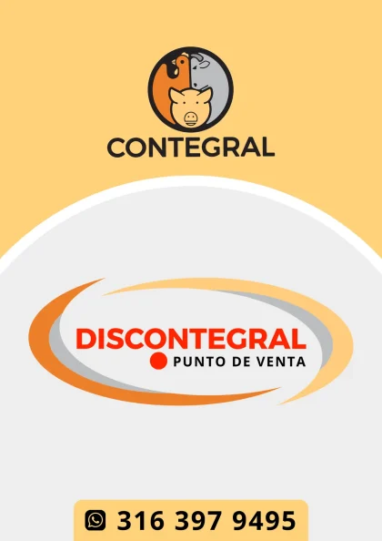 discontegral-ibague-tolima-colombia